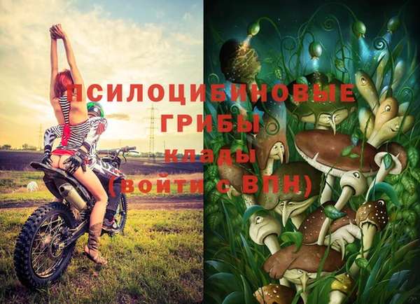 мяу мяу мука Алексеевка