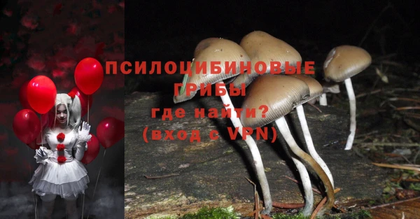 мяу мяу мука Алексеевка