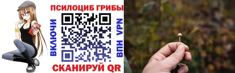 Псилоцибиновые грибы Magic Shrooms  ссылка на мегу зеркало  Орлов  darknet официальный сайт  магазин   